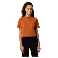 dickies-t-shirt-a-manches-courtes-porterdale-crop