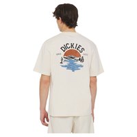 dickies-beach-t-shirt-met-korte-mouwen
