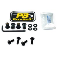 pro-bolt-scr-4-sk4bk-windshield-screws